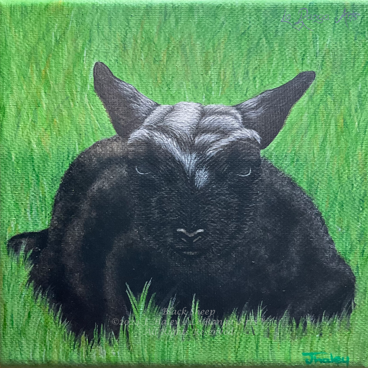 Black Sheep WaterMarked.png