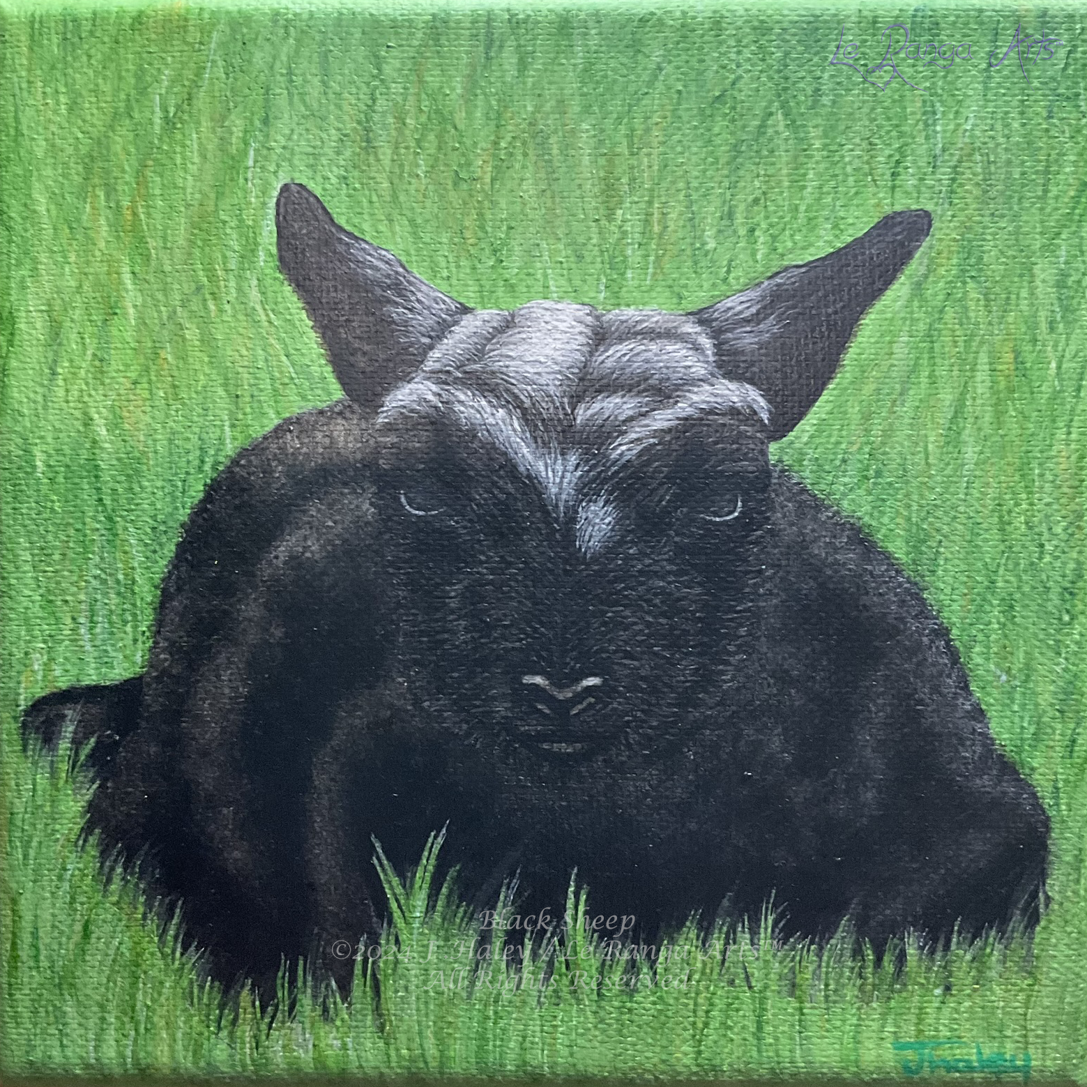 Black Sheep WaterMarked.png